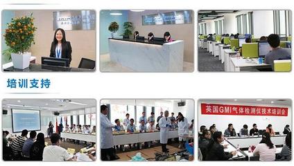 美國福祿克F319交直流數字鉗表 技術解析、選購指南與應用場景