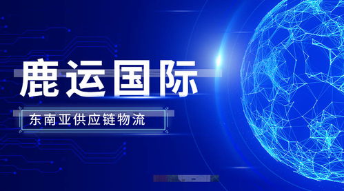 全球供應鏈變革 數字技術為外貿服務注入新動能